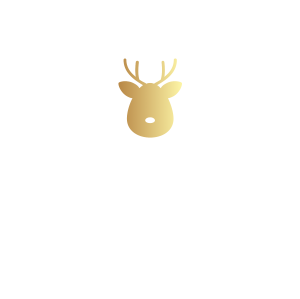 Card elf